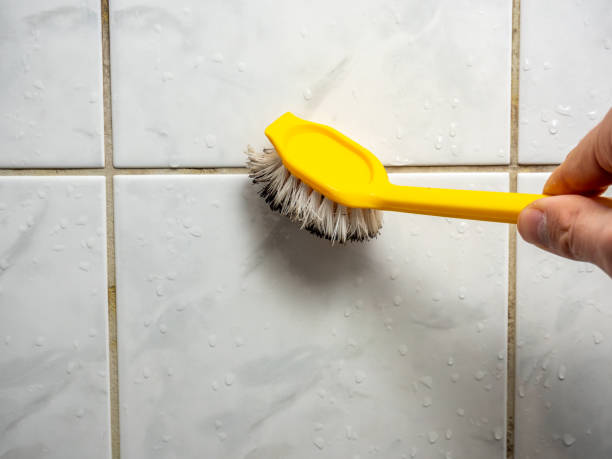 Best Mold Testing and Removal  in Agler Beach, FL