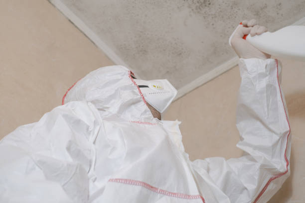 Best Residential Mold Removal  in Agler Beach, FL